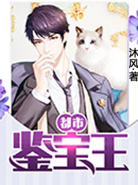 都市鉴宝王