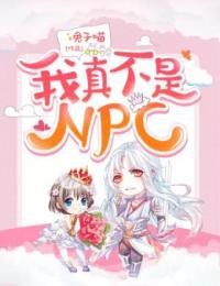 我真不是NPC