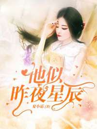 他似昨夜星辰