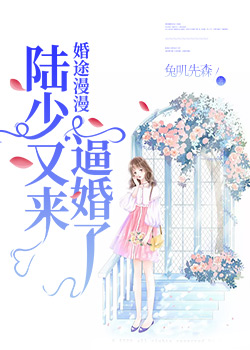 婚途漫漫:陆少又来逼婚了