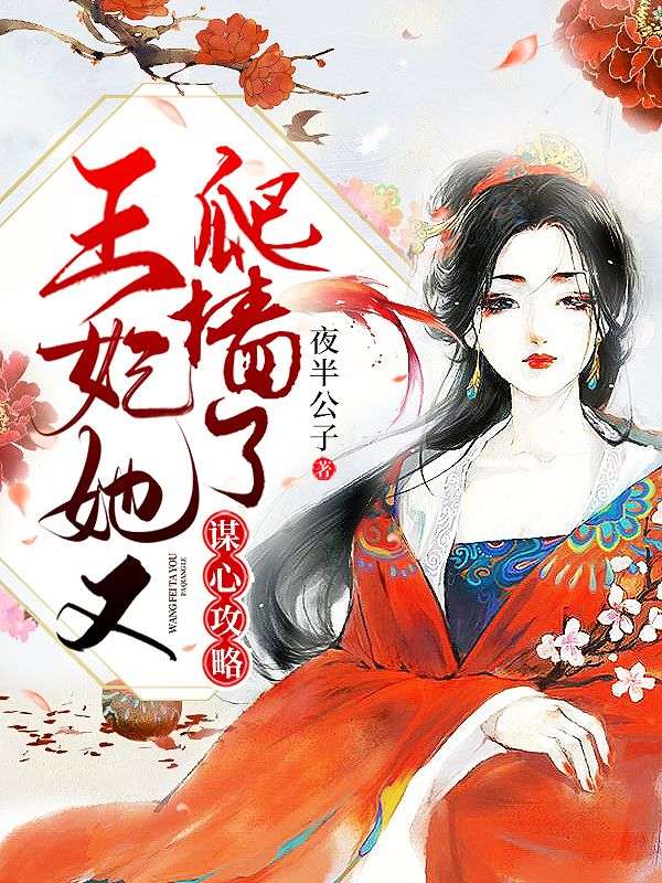 谋心攻略:王妃她又爬墙了