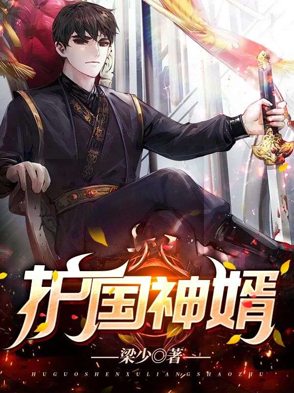 護國神婿