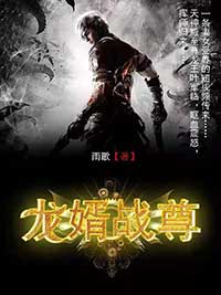 龙婿战尊