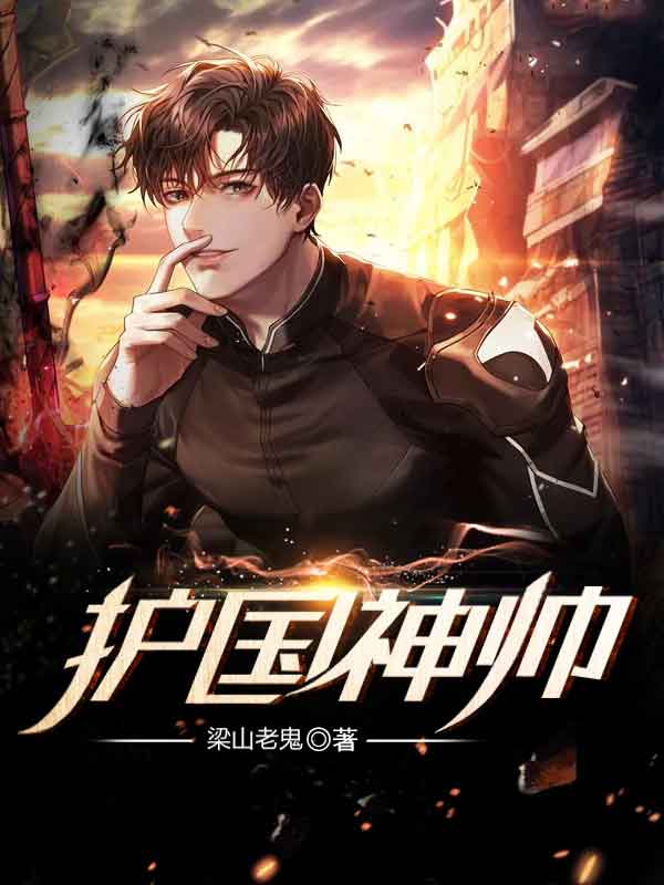 護(hù)國神帥