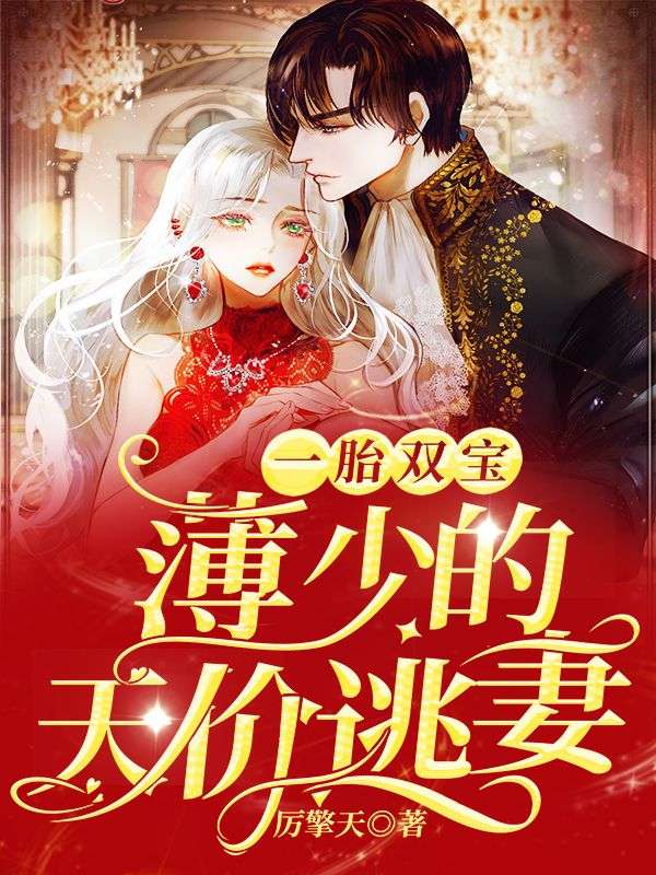 一胎双宝,薄少的天价逃妻