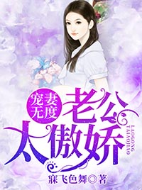 宠妻无度，老公太傲娇