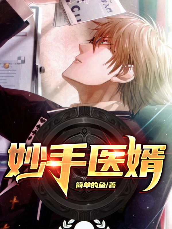 妙手医婿