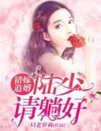 错嫁追婚：陆少追妻忙