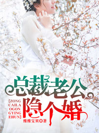 总裁老公,隐个婚