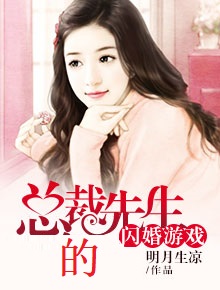总裁先生的闪婚游戏