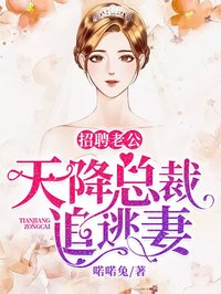 招聘老公:天降总裁追逃妻