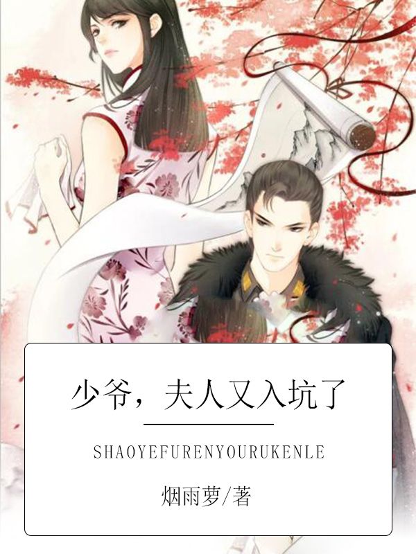 少爷,夫人又入坑了