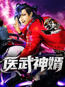 医武神婿