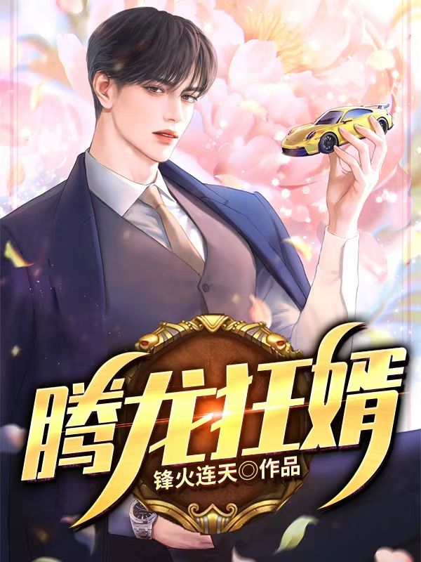 腾龙狂婿