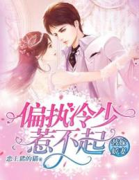 替嫁嬌妻:偏執(zhí)冷少惹不起