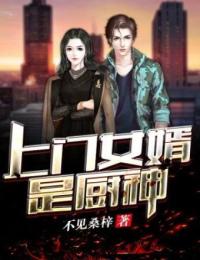 上門(mén)女婿是廚神