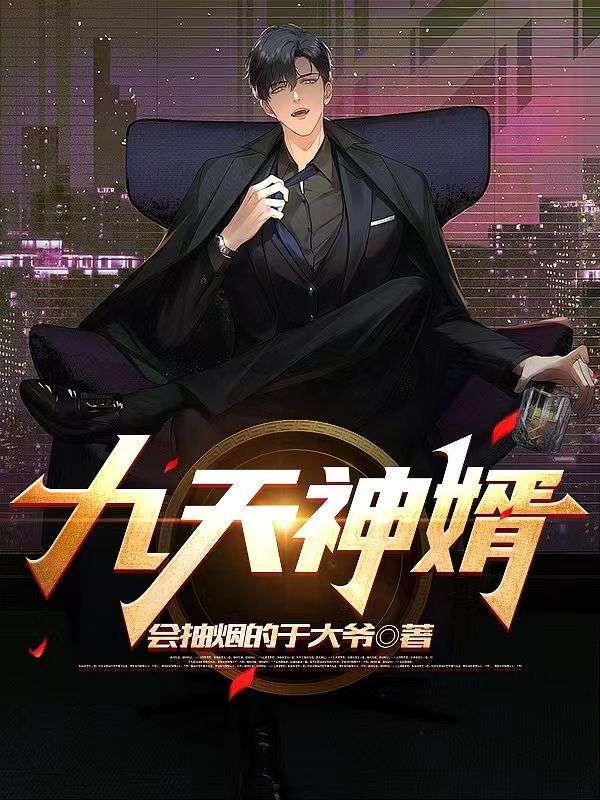 九天神婿