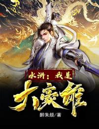 水浒:我是大豪雄