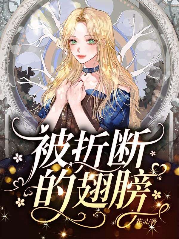 被折断的翅膀