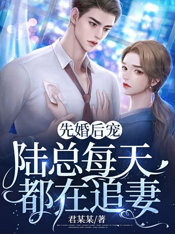 先婚后宠:陆总每天都在追妻