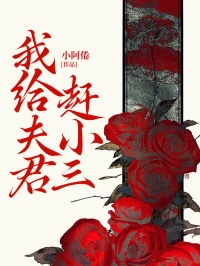 我给夫君赶小三
