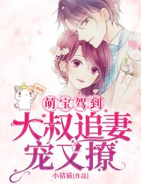 萌宝驾到:大叔追妻宠又撩