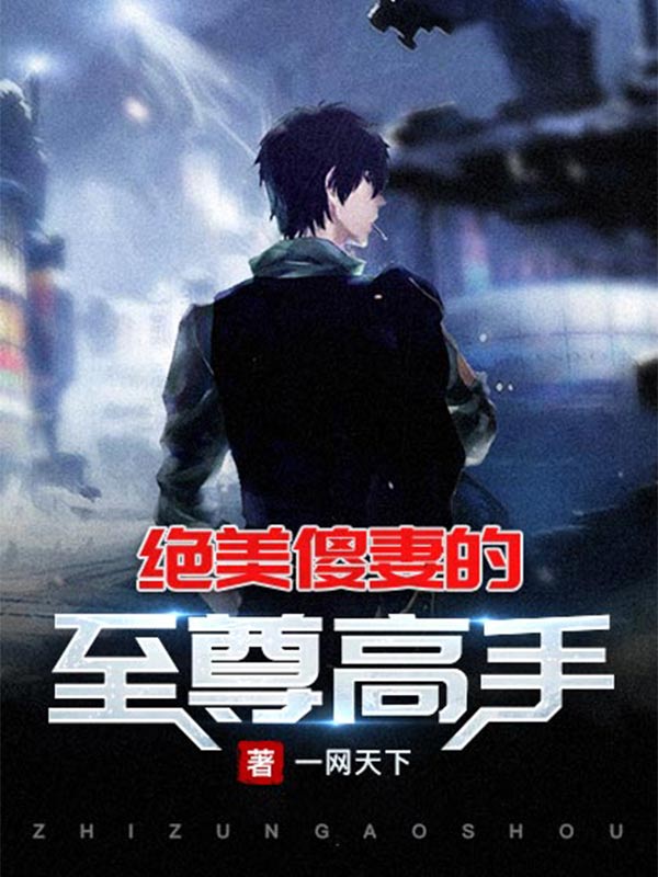 绝美傻妻的至尊高手
