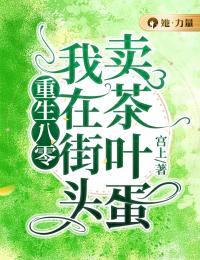 重生八零:我在街头卖茶叶蛋