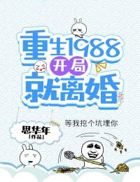 重生1988：开局就离婚
