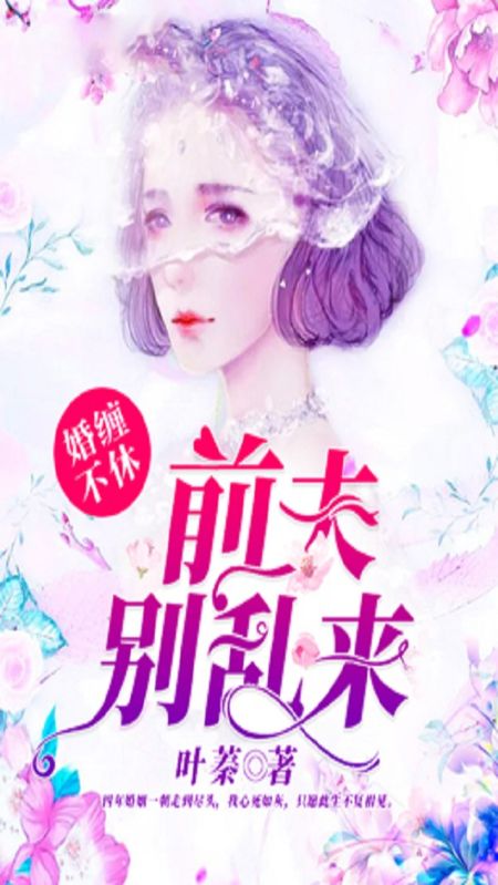 婚缠不休:前夫,别乱来