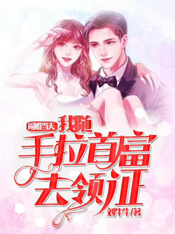逼婚当天,我随手拉首富去领证