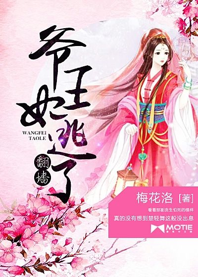 爺，王妃翻墻逃了