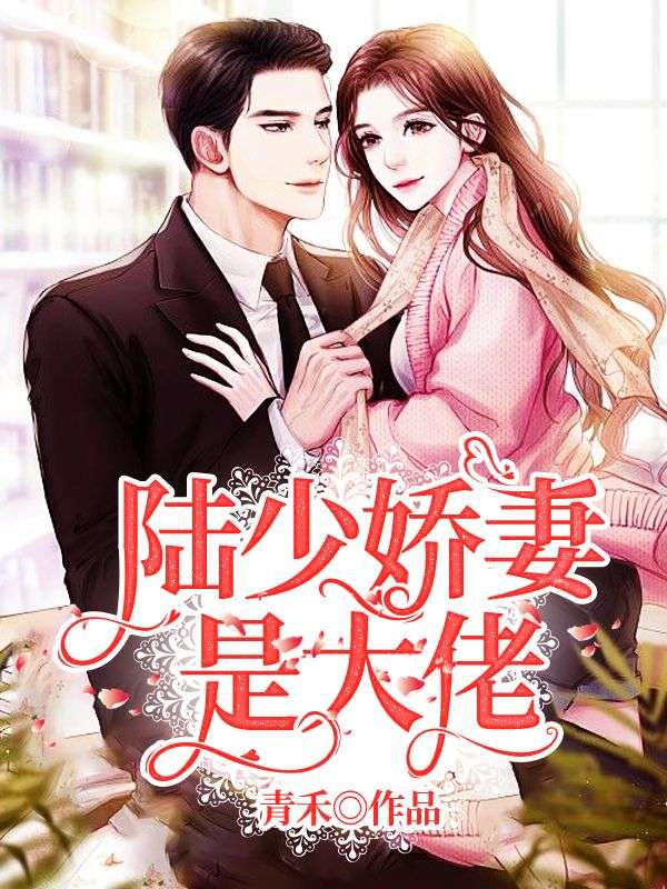 陆少娇妻是大佬