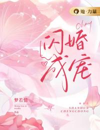 闪婚成宠