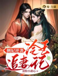 侧妃逆袭:冷王追妻记