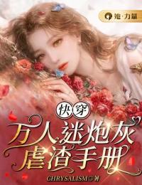 快穿:万人迷炮灰虐渣手册