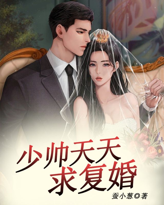 少帅天天求复婚