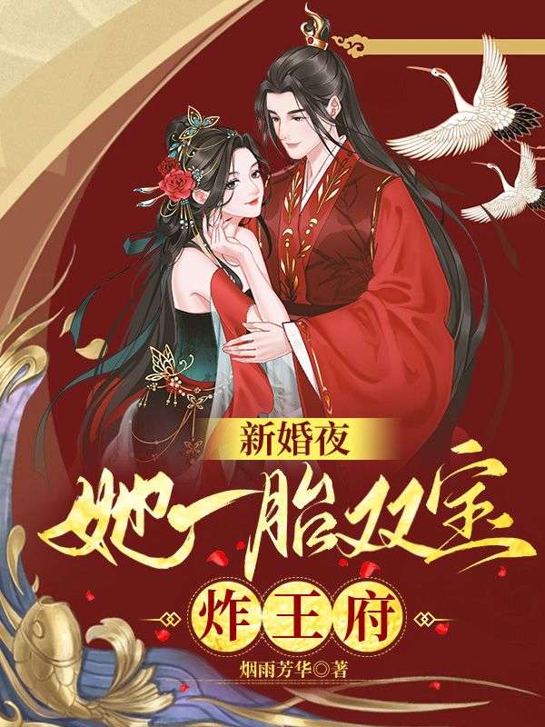 新婚夜:她一胎双宝炸王府