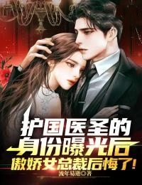 护国医圣的身份曝光后,傲娇女总裁后悔了!