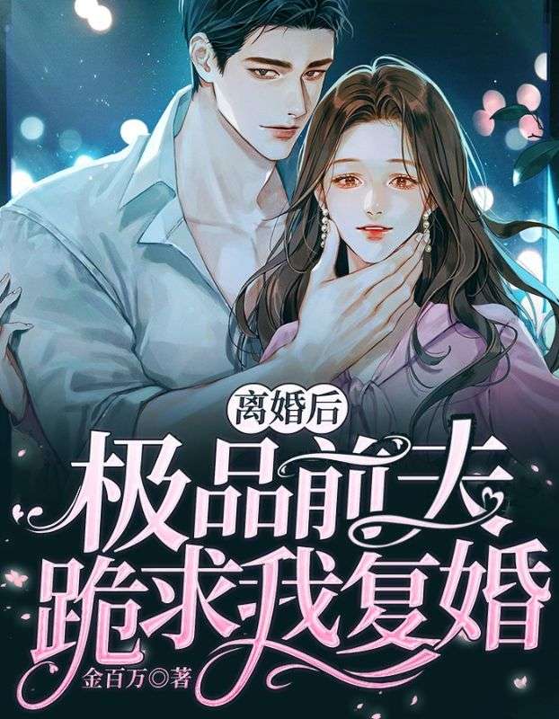 离婚后,极品前夫跪求我复婚