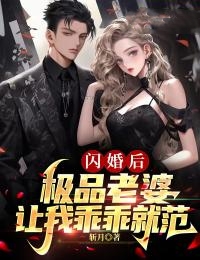 闪婚后,极品老婆让我乖乖就范