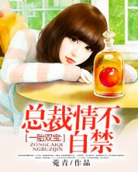 一胎双宝:总裁情不自禁