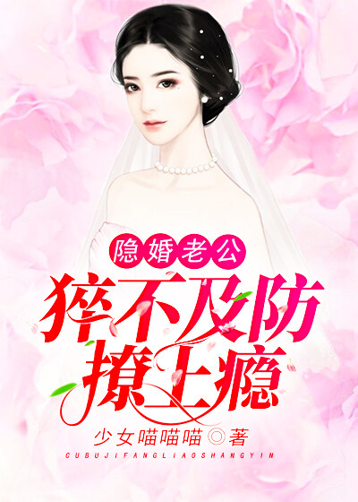 隐婚老公:猝不及防撩上瘾