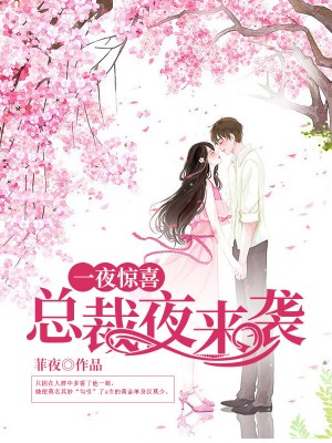 一夜惊喜:总裁夜来袭