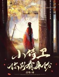 小侍卫,你别有身份