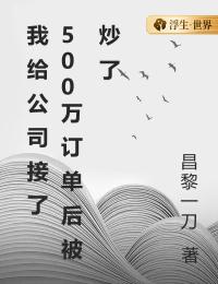 我给公司接了500万订单后被炒了