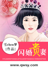 闪婚贵妻