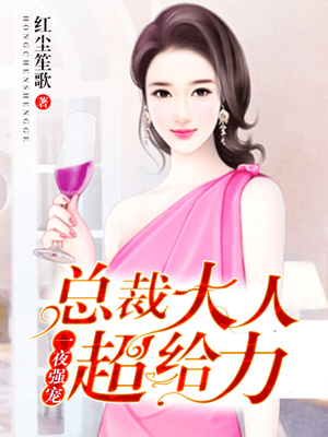 一夜强宠:总裁大人超给力