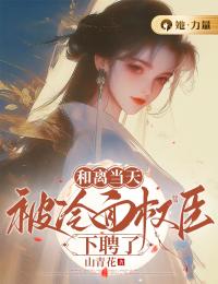 和离当天,被冷面权臣下聘了