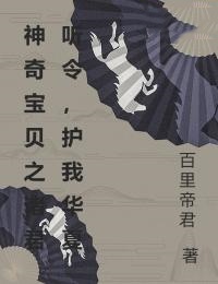 神奇宝贝之诸君听令,护我华夏